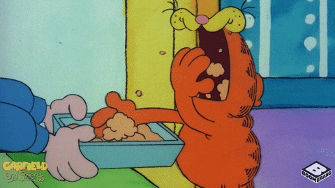 On Page SEO - EAT (Garfield EAT-ing)