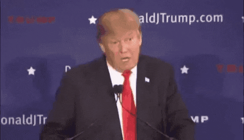 On Page SEO - Keywords are still important - Trump knows